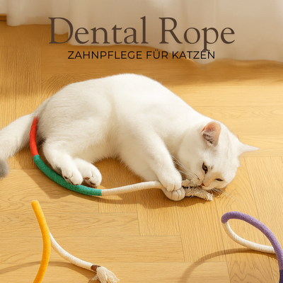 Dental Rope - Gesunde Zähne, glückliche Katzen.
